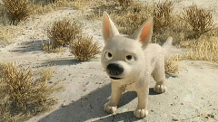 电影<闪电狗>拍摄花絮之Dog's Best Friend