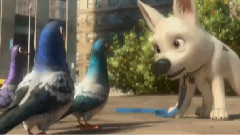 电影<闪电狗>拍摄花絮之Get That Dog