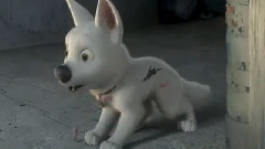 电影<闪电狗>电视宣传片Unbelievable