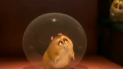 电影<闪电狗>香港版预告片