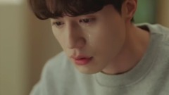 孤单又灿烂的神