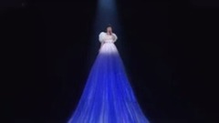 越後水原~白鳥飛翔~