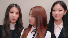 本月少女 Happy New Year Message