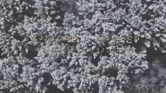 Leeland - Have It All