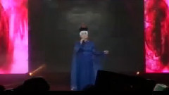 阿木古楞 - 鸿雁