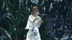 无人知道双子座