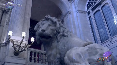 WINTER IN MADRID(Зима в Мадрид)