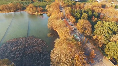 鸟瞰杭州 Aerial Hangzhou