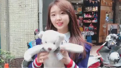 本月少女 Taiwan Teaser