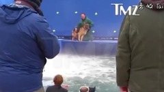 《一条狗的使命》争议泄露片段