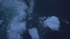 Tom Rosenthal - To You Alone