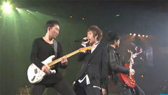 派对动物&顽固&倔强&伤心的人别听慢歌