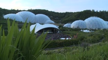 Purple Haze (Eden Project)