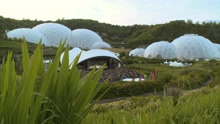 Beauty Remains (Eden Project)