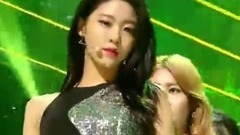 Bing Bing & Excuse me