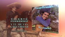 Y Tu Me Vas a Recordar (Cover Audio)