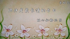 陪伴是最长情的告白