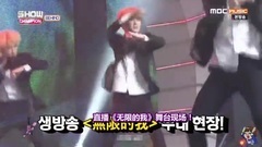 Show Champion Behind