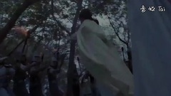 电视剧<孤芳不自赏>楚北捷救白娉婷却擦肩而过