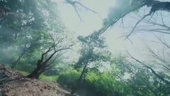 电视剧<孤芳不自赏>楚北捷中白兰奸计