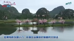 <三生三世十里桃花>深挖四大看点 幂幂版白浅配咆哮版夜华