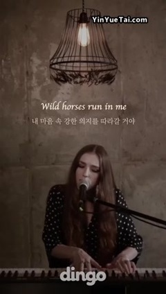 Wild Horses (Live at Dingo Music Korea)