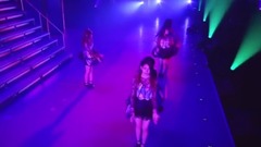 飛べないアゲハチョウ