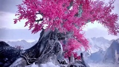 电视剧<幻城>释为救哥哥化成霰雪鸟