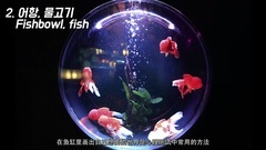 BLACKPINK - 口哨(Whistle) MV解析