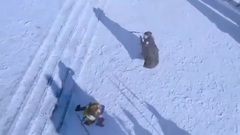 电视剧<幻城>星旧打败凤凰