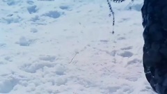 电视剧<幻城>独家花絮:马天宇再次登场化身剑灵与众人团聚