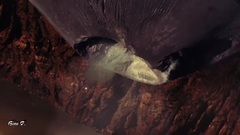 Michael English - Make Our World A Better Place