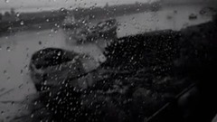 Growing Recognition Of The Genius Of Birds