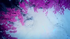 电视剧<幻城>樱空释与哥哥反目成仇