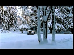 Глаза Цвета Виски