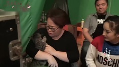 电视剧<三生三世十里桃花>花絮:萌猫师兄成长记