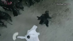 电视剧<三生三世十里桃花>令羽中箭遭围攻 司音参战护师兄 06集精彩片段