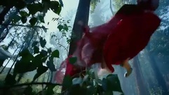 卡索火燚正面交火