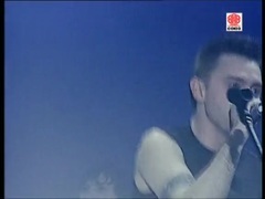 Звери - Районы кварталы