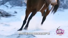 幻城之撩剧呗之幻城第67期