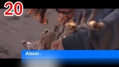 Global Spotify Charts Top 50 (2017年2月第2周)