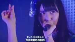 回遊魚のキャパシティ