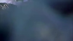 电视剧<大汉情缘之云中歌>第16集预告片