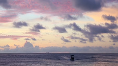 Fun. - Chappo Come Home