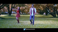 印度群星 - Kuch Ankahi Kuch Ansuni