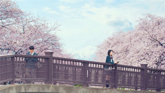 <君の膵臓をたべたい>特報