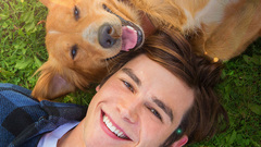 电影《一条狗的使命》