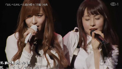 おしべとめしべと夜の蝶々