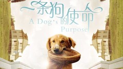 电影《一条狗的使命》