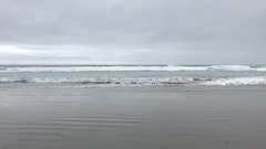 Долгая и несчастливая жизнь